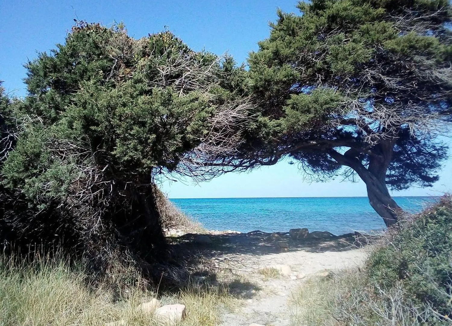 La-Dolce-Vita-Holiday-Home La Caletta Italien